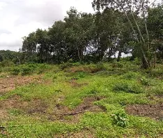 Terrain à Anyama village